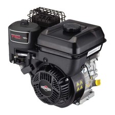 NEW Briggs & Stratton 5.5HP