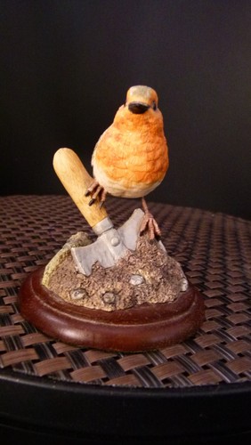 Border fine arts - robin, on