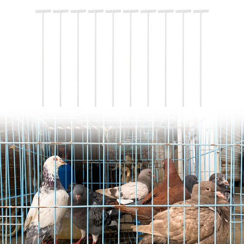 10pcs pigeon birds entrance - 10pcs,
