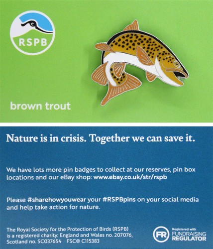 Rspb pin badge niic - niic, brown