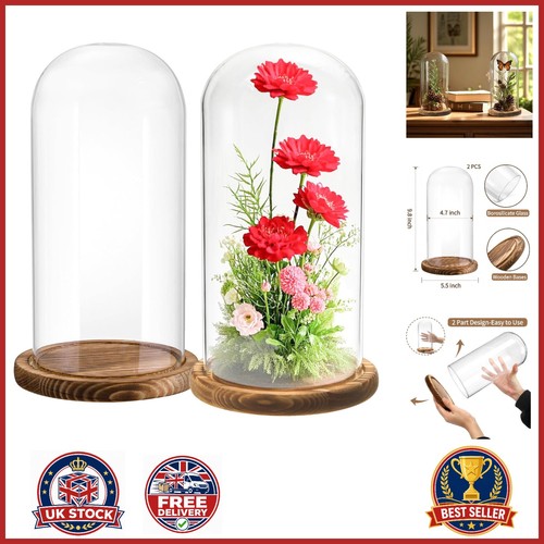 Clear glass cloche display - clear,