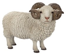 Vivid Arts Ram Sheep With