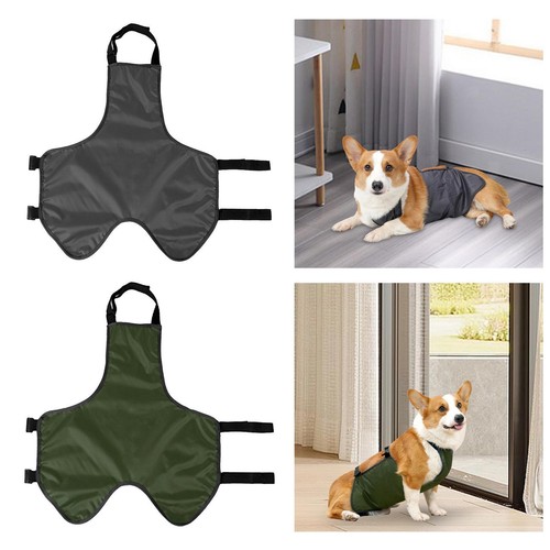 Dog belly wrap - wrap,
