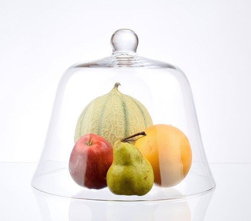 Glass display dome - display,
