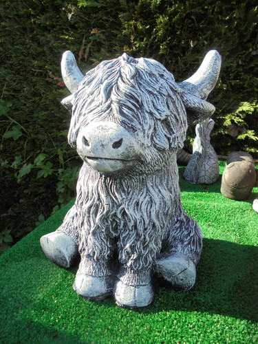 Highland cow concrete - highland,