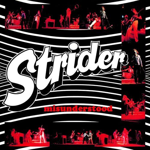 Strider misunderstood cd - :,
