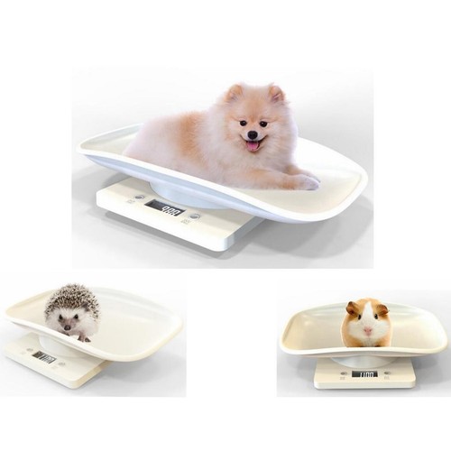Multi functional small measure - small,