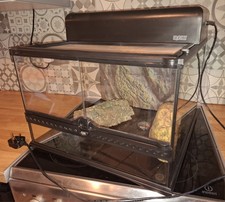 Exo Terra Glass Terrarium