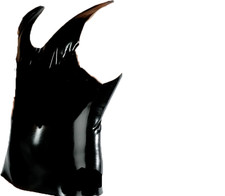 BONDAGE FETISH RUBBER LATEX