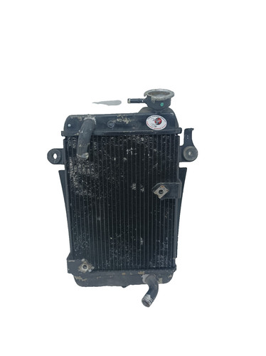 Water radiator honda 300 - water, sh
