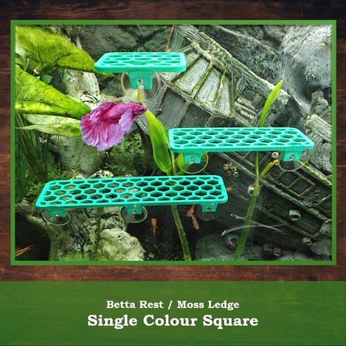 Aquarium shelf plant ledge - aquarium,
