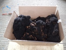 Sheep fleece over 3 KG Raw