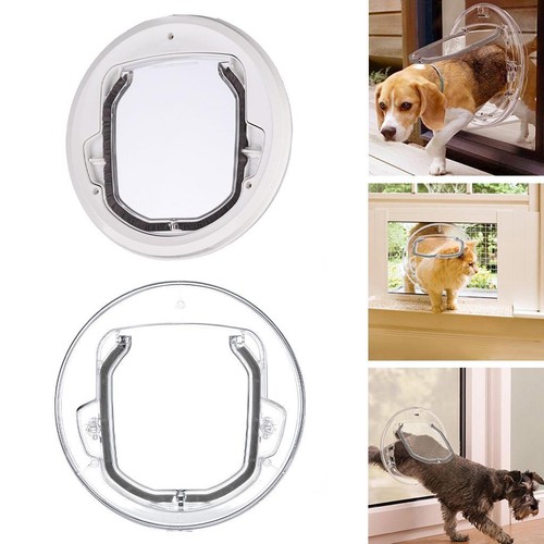 Dog cat flap - dog, door