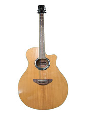 Yamaha APX500II Electro