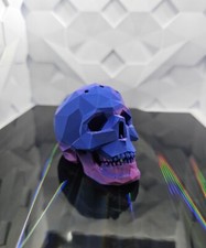 Modern Skull Dart Holder