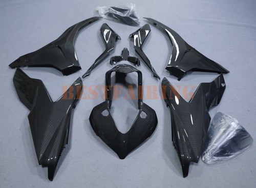 Carbon fiber fairing - carbon, for