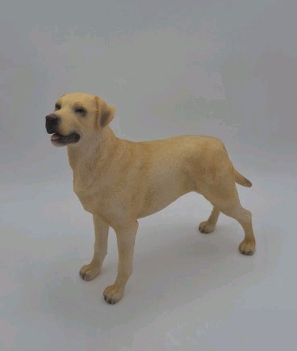 Best breed golden labrador - best,