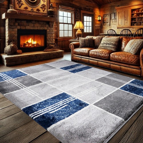 Modern large area - area, rugs