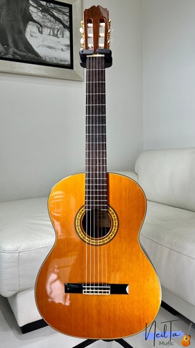 Takamine classical - no.30,