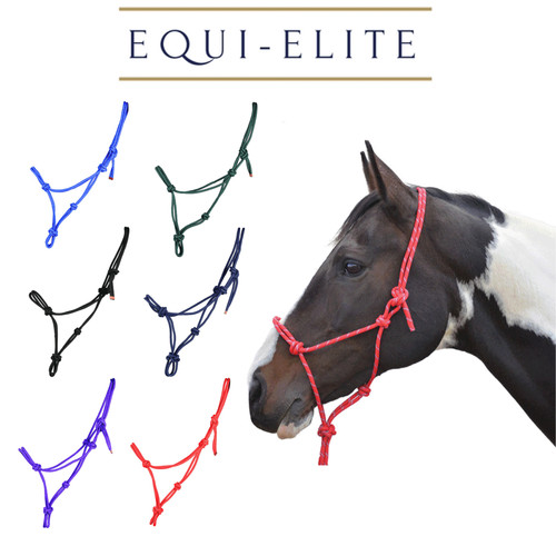 Equestrian rope halter - equestrian,