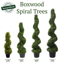 Best Artificial Spiral Boxwood