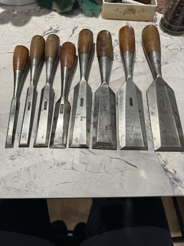 Rare stanley everlasting - 12,