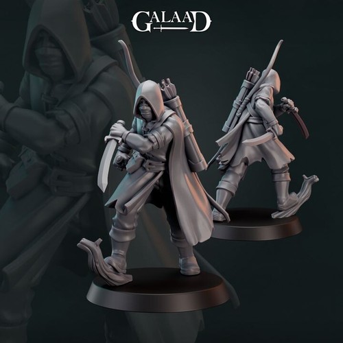 Male forest ranger rogue - male,