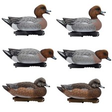 Eurasian Wigeon Duck Decoys - 6 Pack