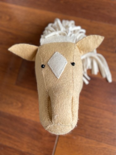 Fiona walker horse - fiona, head