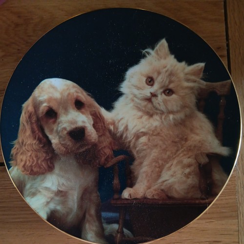 Royal worcester ginger and - worcester,