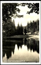 Button Thaler Pond in the Schortetal c 1960 Bechstein Ilmenau Publisher Photo Postcard No. 236