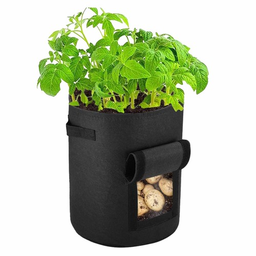 Plant growing bags potato - plant,