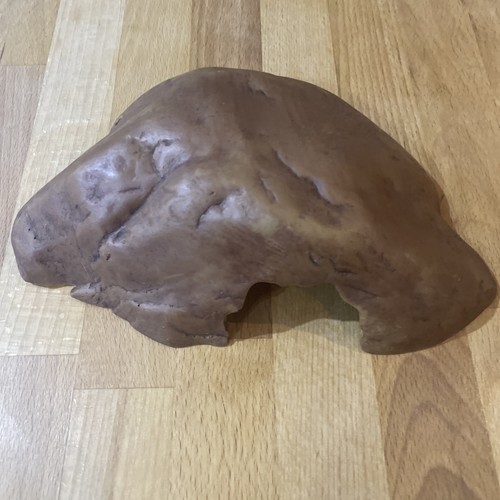 Exo terra reptile cave hide - exo,