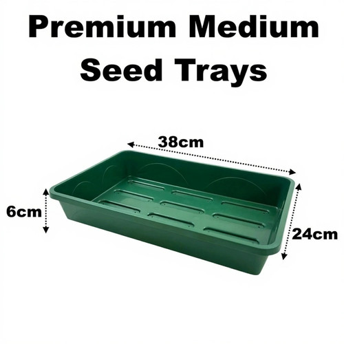 Medium premium 38cm solid seed - premium,
