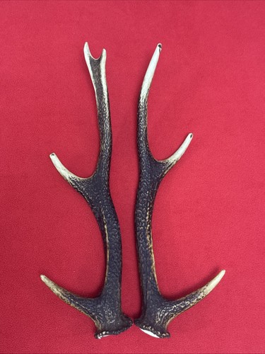 Pair sika deer antlers - sika,
