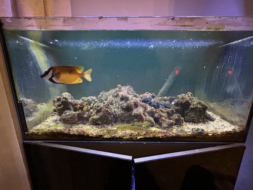 Marine fish tank sump - marine, &