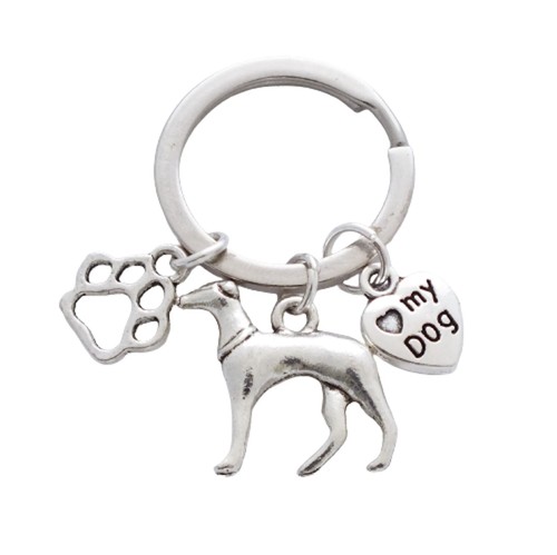 Sighthound greyhound - sighthound,