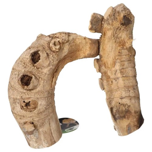 Prorep bamboo root - bamboo, gym