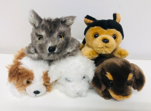 Petooties dog bundle - dog, bundle,