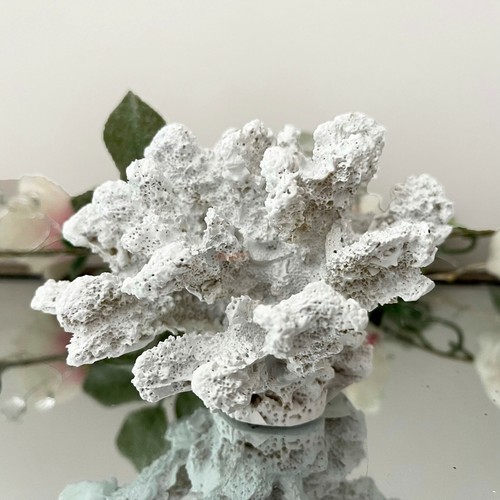 White resin faux - faux, coral