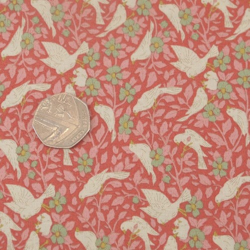 Songbird ava coral by - songbird-, ava-
