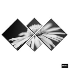 Flowers BOTANICAL   Floral BOX FRAMED CANVAS ART Picture HDR 280gsm