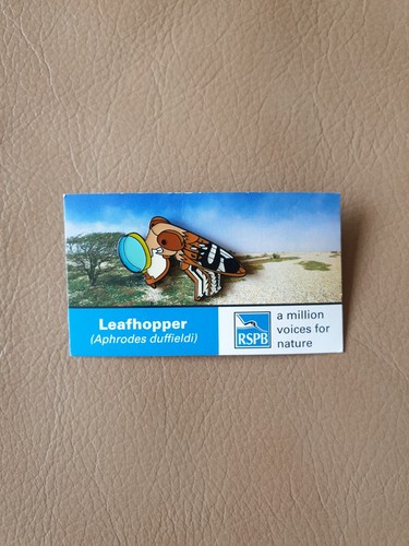 Rspb leafhopper enamel - rspb, pin