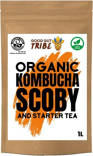 Organic kombucha scoby - kombucha,