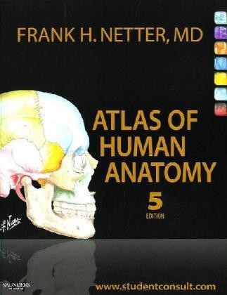 Atlas human anatomy netter - of,