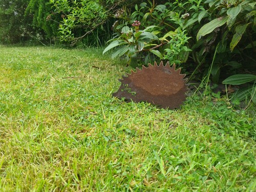 Rusty metal hedgehog - rusty,