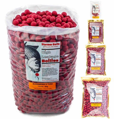 Bloodworm tuna shelf life - shelf,