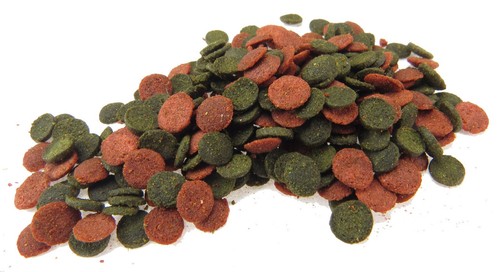 Top quality cichlid fish food - cichlid,