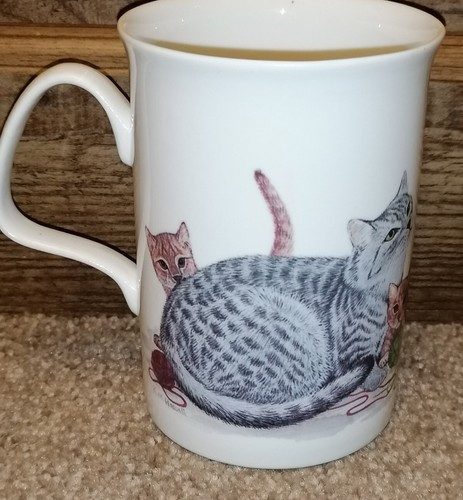 Roy kirkham tabby cat - roy,
