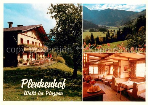 Wald pinzgau plenkenhof - pinzgau,